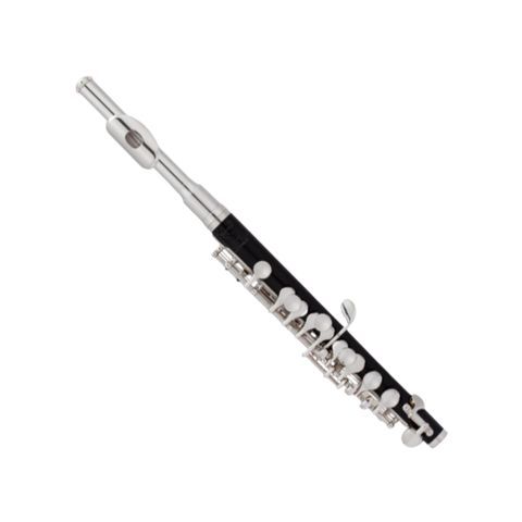 Flûte piccolo PL400C